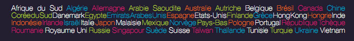 Voeux 2011 UBIFRANCE_2