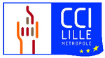 Logo_cci_lille