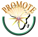 Promote_logo
