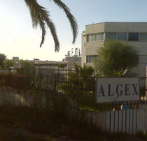 Algex_2